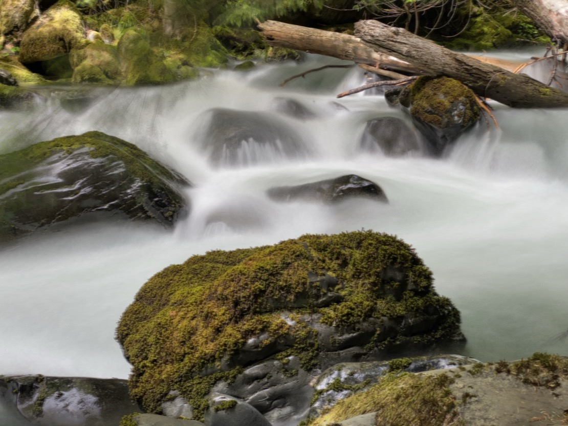 Rushing water in Olympic NP