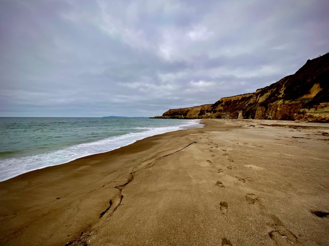 Low tide at Point Reyes National Seashore